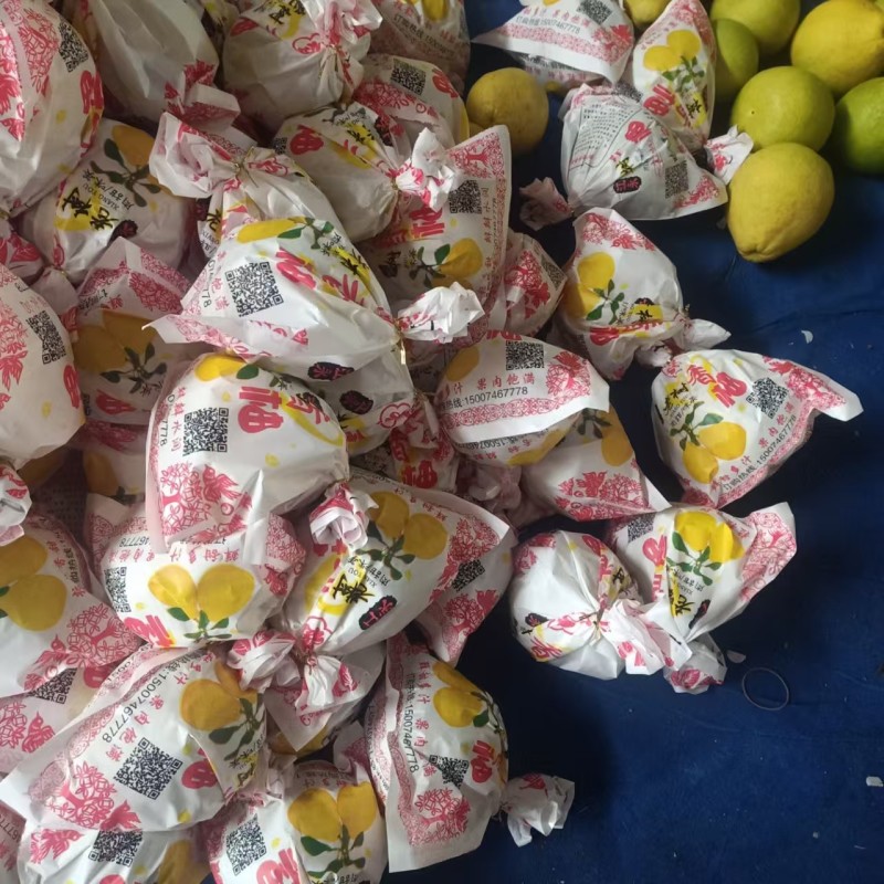 湖南精品柚子/香柚大量上市/产地直发/可视频看货/一手货源