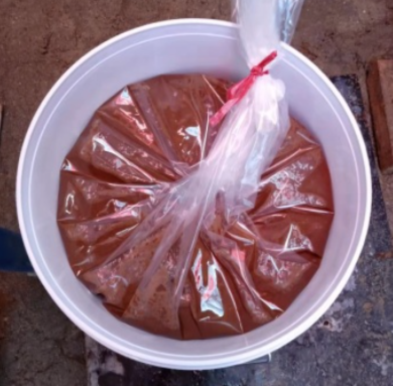 鱼虾蟹饲料益生菌发酵虫浆