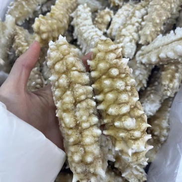 白金刺即食