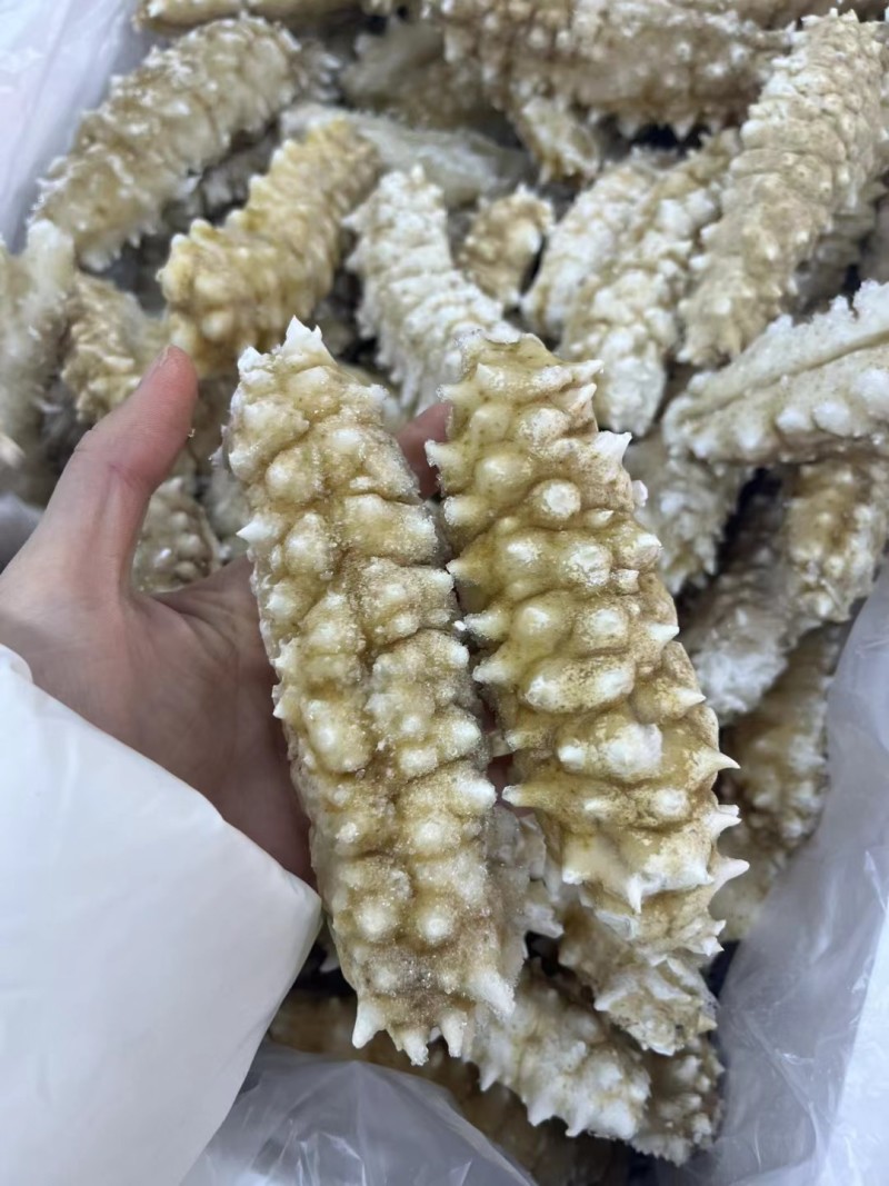 白金刺即食