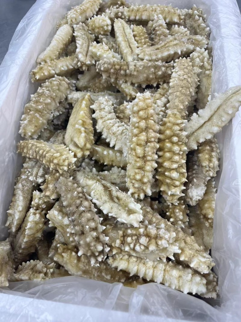白金刺即食