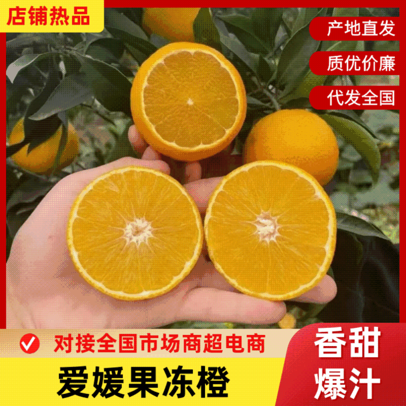 四川爱媛，圆润饱满表皮光滑细腻色泽鲜艳基地发货大吨位供应