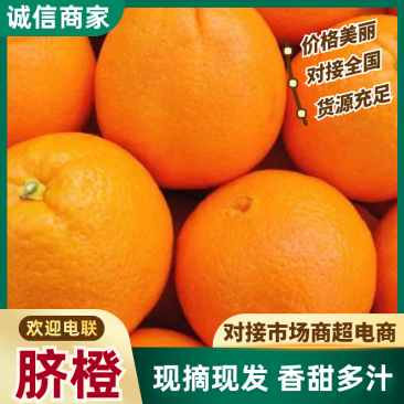 【实力推荐】重庆脐橙橙子🍊产地直销量大从优可视频看货