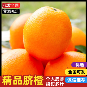 【热卖推荐】重庆脐橙橙子🍊一手货源质量保证欢迎采购