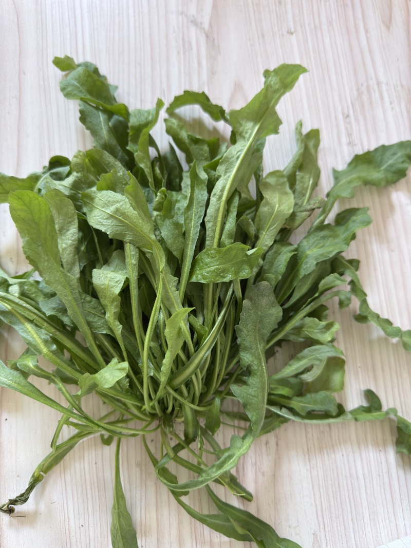东台荠菜大量有货基地直供新鲜现挖