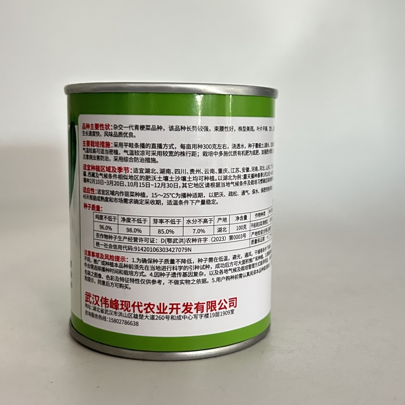 【冬美人】正品油绿束腰青梗菜种子基地优选耐寒耐储耐抽薹
