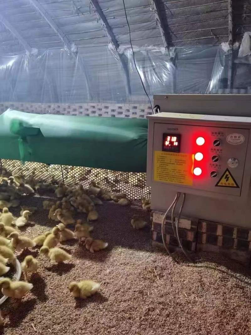 养殖育雏暖风机车间恒温加热器大棚功率消毒风机
