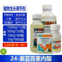 整箱百农思达0.01%.24-表芸苔素内酯小麦黄瓜柑橘树