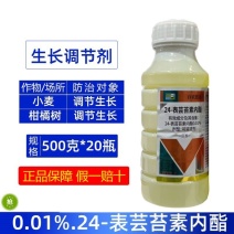 整箱百农思达0.01%.24-表芸苔素内酯小麦柑橘树调节