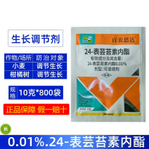 整箱百农思达0.01%24-表芸苔素内酯小麦柑橘树调节生