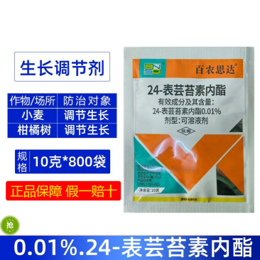 整箱百农思达0.01%24-表芸苔素内酯小麦柑橘树调节生