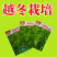 【金阳太阳白】越冬型白菜苔种子苔白苔粗口感好年后采收