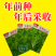 【金阳太阳白】越冬型白菜苔种子苔白苔粗口感好年后采收
