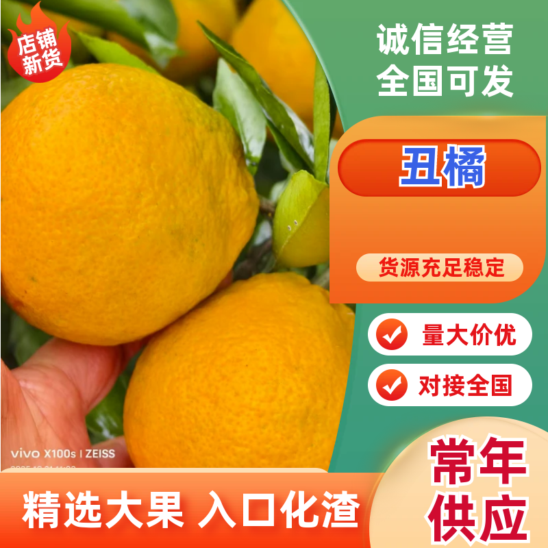 丑桔：丑八怪，不知火柑产地一手货源