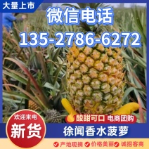 徐闻菠萝香水菠萝品质保证价格优惠产地直发欢迎合作