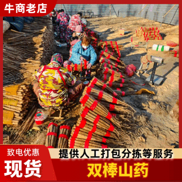 热卖双棒山药河北双棒山药饶阳山药多规格可选货源充足欢迎电联