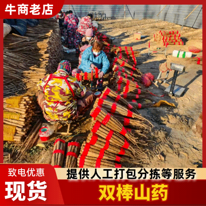 热卖双棒山药河北双棒山药饶阳山药多规格可选货源充足欢迎电联