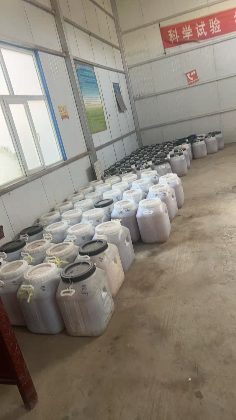 槐花蜜【批发】对接批发商，质量保证，欢迎联系，价格可谈