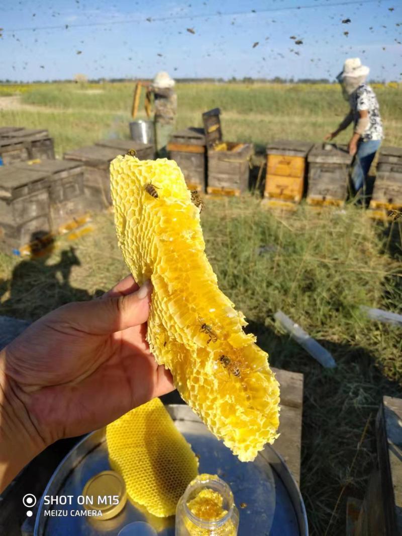槐花蜜【批发】对接批发商，质量保证，欢迎联系，价格可谈