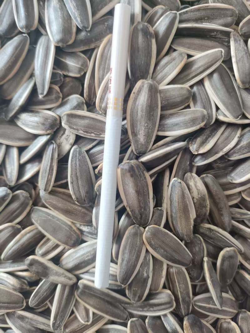 河南大量葵花籽供应品质保证量大价优欢迎来电洽谈