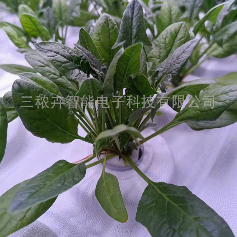 60cm-LED植物生长灯
