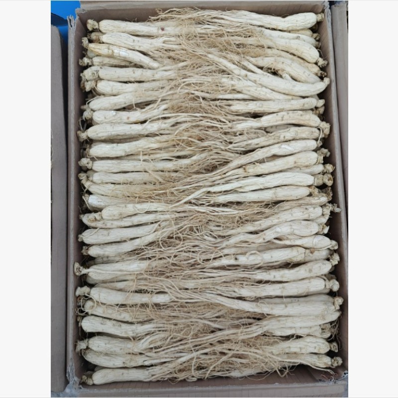 东北人参生晒参干人参特产长白山产地直发支持一件代发