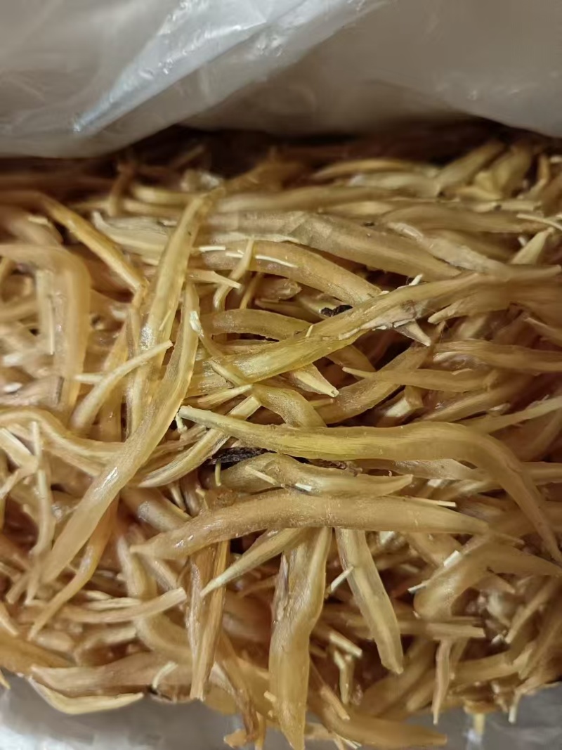 天冬品质好，常年有货。各种规格天冬种苗出售。