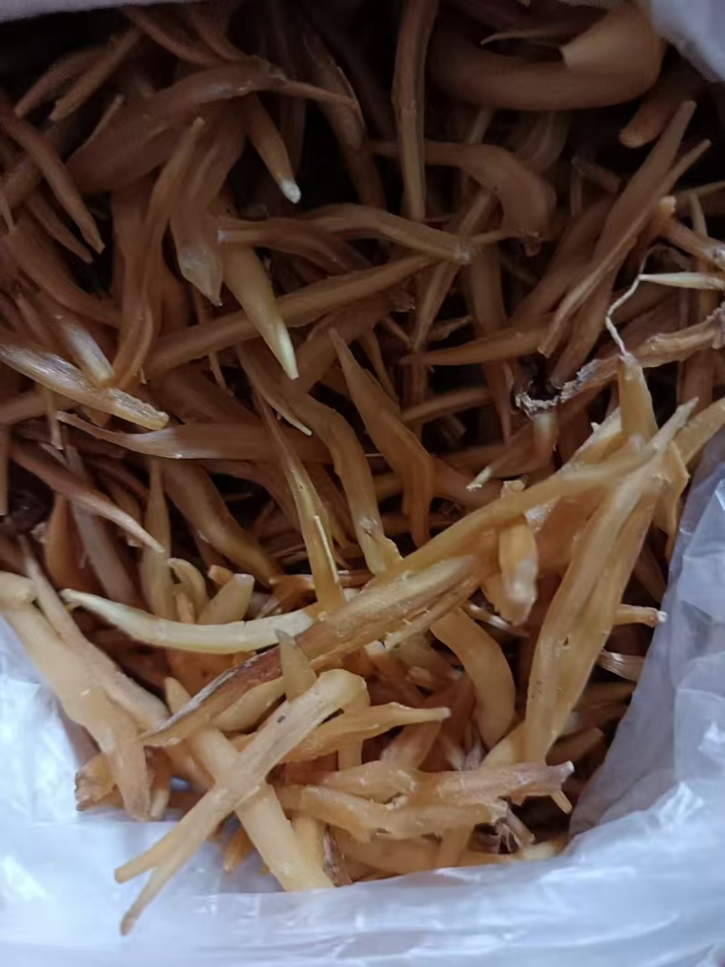 天冬品质好，常年有货。各种规格天冬种苗出售。