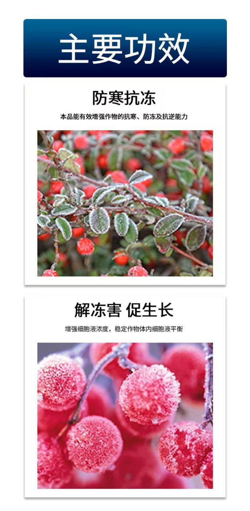 植物防冻液防冻剂含氨基酸水溶肥料防冻抗寒缓解冻害降低冰点