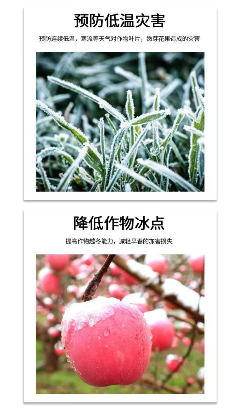 植物防冻液防冻剂含氨基酸水溶肥料防冻抗寒缓解冻害降低冰点