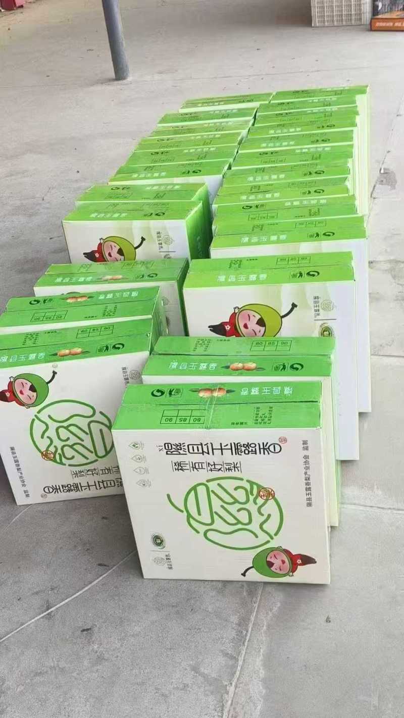 隰县玉露香梨上市自己种植一手货源品质保证来电详谈