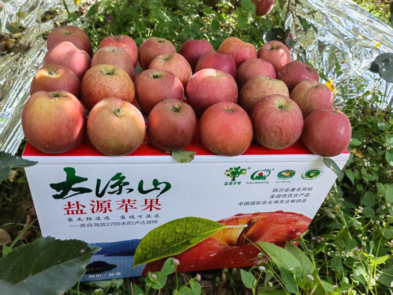 四川凉山精品丑苹果/量大价优/可一件/代发/欢迎咨询