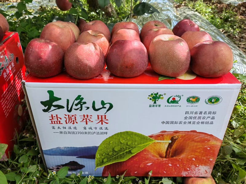 四川凉山精品丑苹果/量大价优/可一件/代发/欢迎咨询