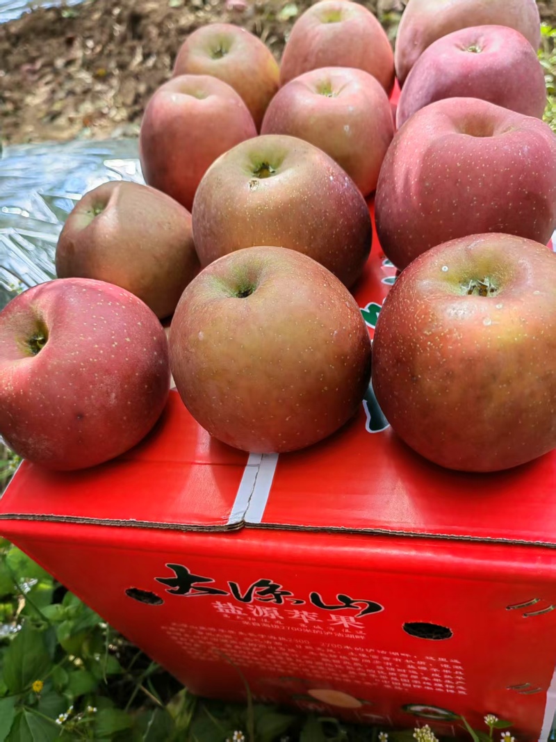 四川凉山盐源丑苹果/量大价优/可一件/代发/欢迎咨询