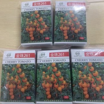 金珠261番茄种子樱桃番茄种子1000粒