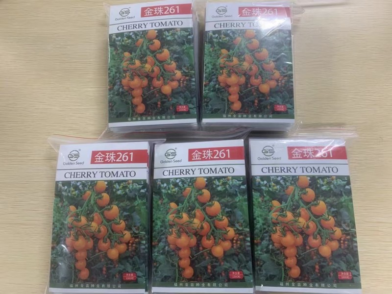 金珠261番茄种子樱桃番茄种子1000粒