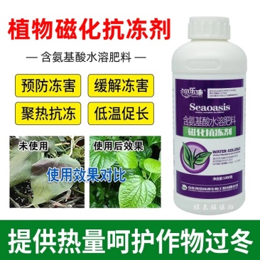 植物防冻剂氨基酸水溶肥料防冻液防寒防冻降低冰点增热量