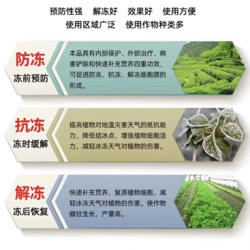 植物防冻剂氨基酸水溶肥料防冻液防寒防冻降低冰点增热量