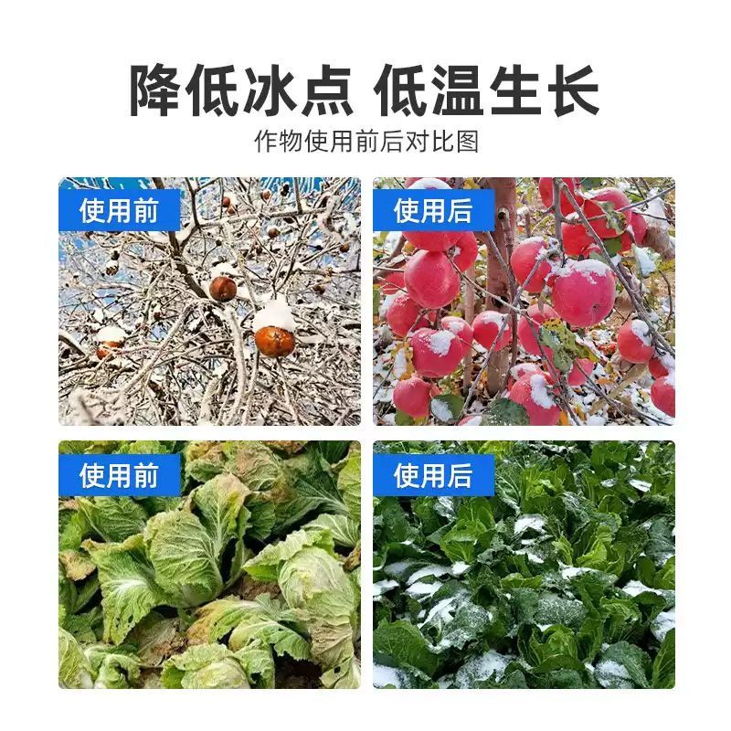 植物防冻剂氨基酸水溶肥料防冻液防寒防冻降低冰点增热量