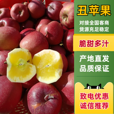 四川凉山盐源县糖心苹果，新鲜现摘，产地现货直发，品质保证