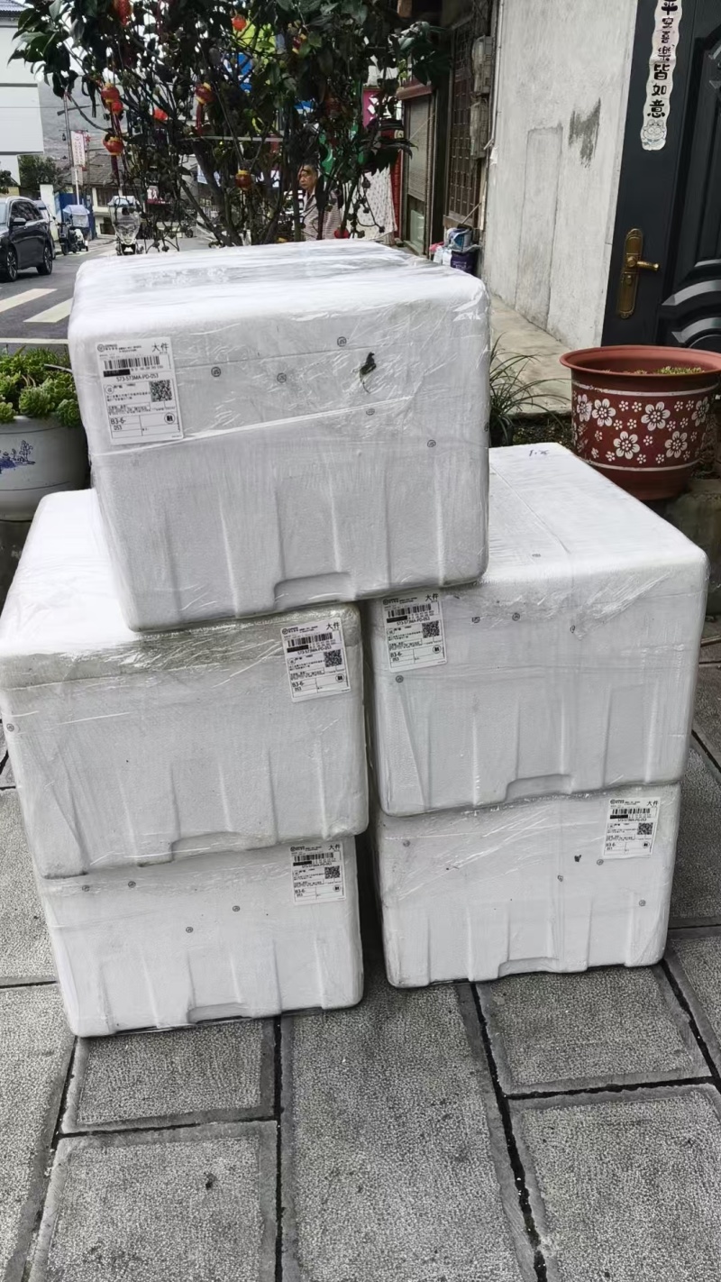 推荐豌豆尖遵义豌豆苗贵州豌豆尖批发价格实惠基地现摘现发