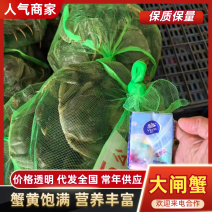 洪湖大闸蟹排湖清水蟹汈汊湖大闸蟹毌蟹螃蟹河蟹钢筋腿