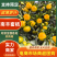 【万人好评】南丰蜜橘产地直发果面干净保质保量