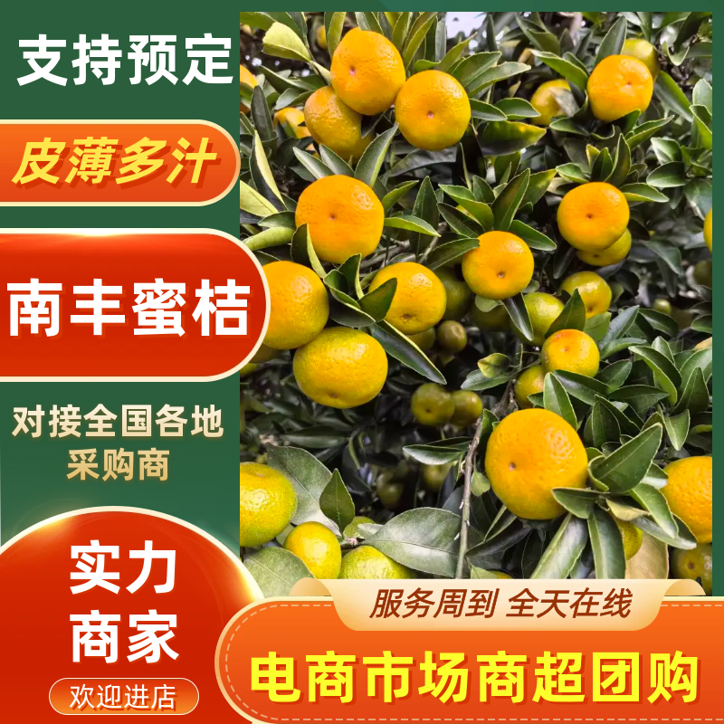 【万人好评】南丰蜜橘产地直发果面干净保质保量