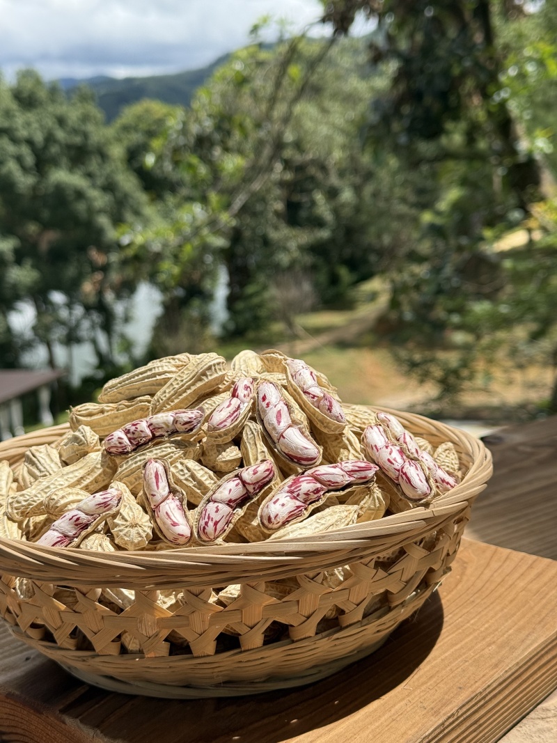 七彩花生米品质保证服务周到产地直发价格美丽