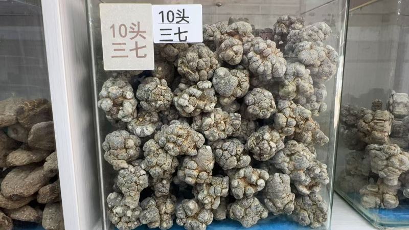 三七、中药材三七大量有货，全国一件代发，可视频