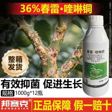 整箱邦赛克36%春雷喹啉铜正品柑橘树溃疡病农药杀菌剂厂家
