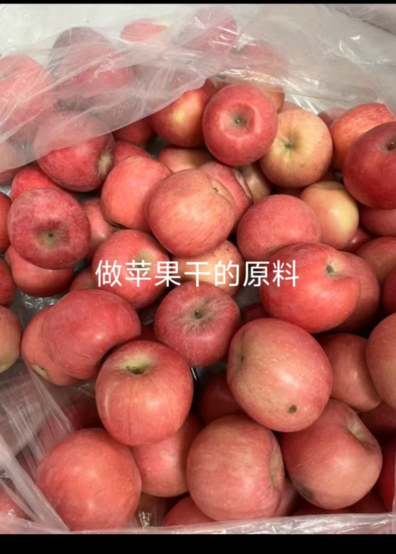 河北苹果干/苹果干片厂家直销/一手货源/量大价优/可视频看货