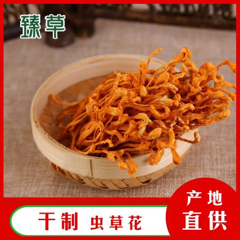 虫草货、内蒙虫草花产地直发，一件代发，全国发货