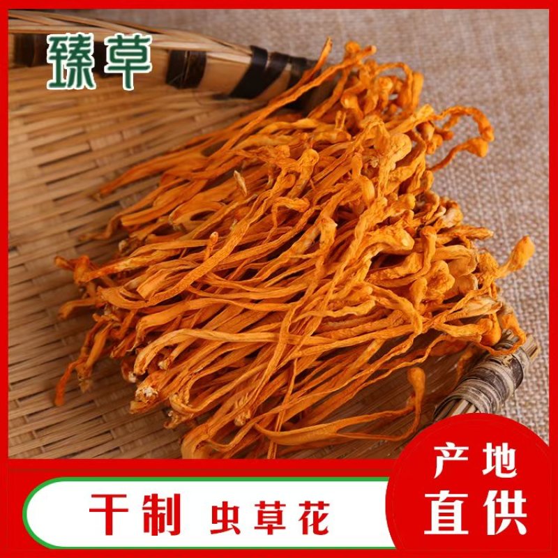虫草花、食用菌虫草花大量有货，可视频看货，产地直发